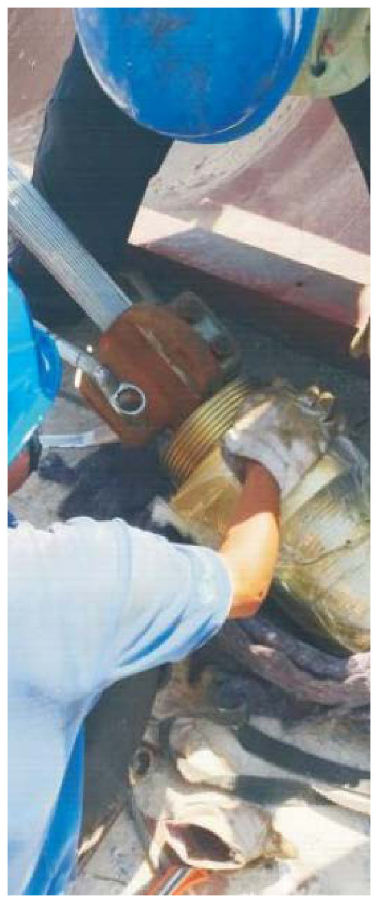 Neo cáp chủ cho cáp thép song song (Main Cable Anchorage for Parallel Wire Cable)